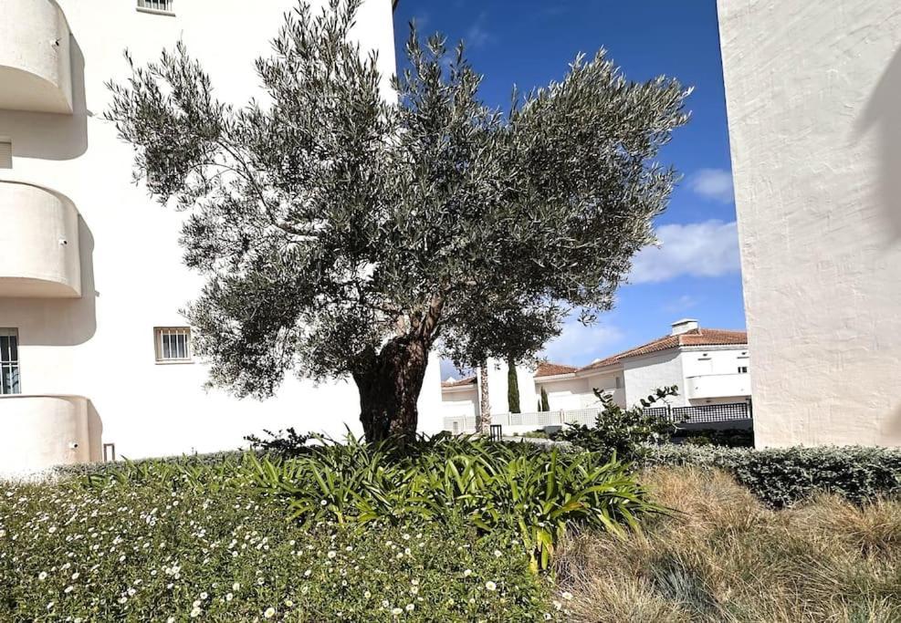 2bed Small Oasis Castillo de Sabinillas