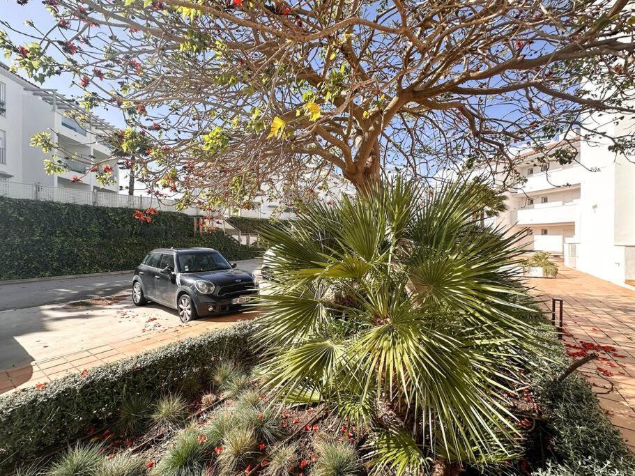2bed Small Oasis Apartment